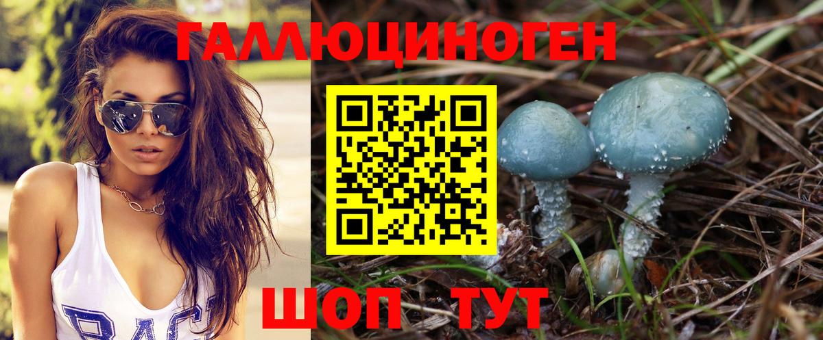 Ухта  Галлюциногенные грибы Psilocybe  Вход с VPN 