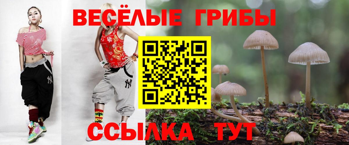 Псилоцибиновые грибы Cubensis Ухта